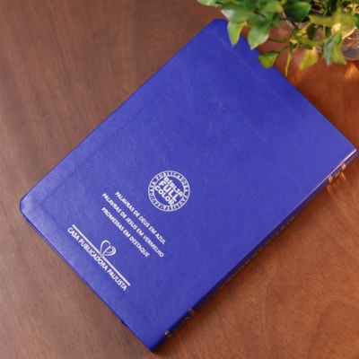 image_8ff0e7f7-3c8b-43c0-baa9-0279b55383e6