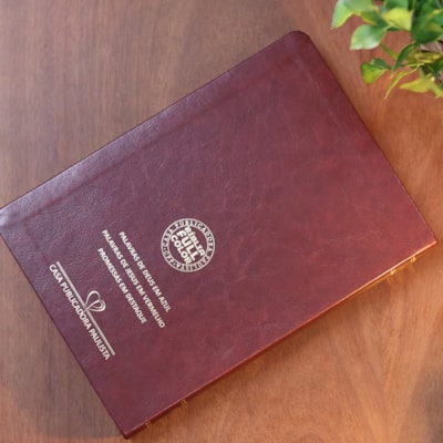 image_6b98a2ff-c56d-4675-bc20-55a666164674