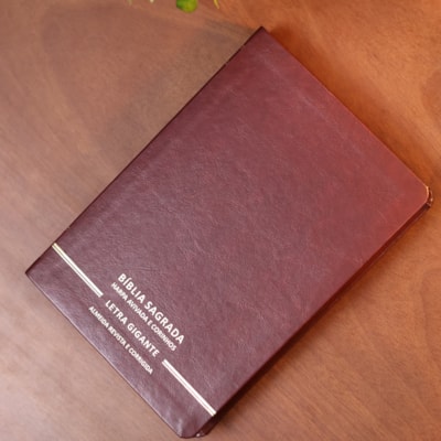 image_4e768ffa-2cb2-4df3-84f8-200ff2b9ea10