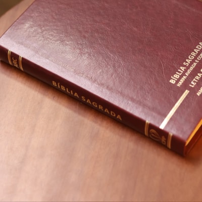 image_d0a29a53-36d4-47eb-b95e-700cd514ee62