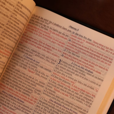 image_0829208d-3b88-46b4-820b-79d3bfaf2e15