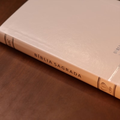 image_54bc9aca-0134-43fb-9c62-84ff605c5697