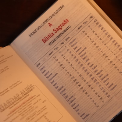 image_4910b520-f7b9-4005-bf8d-7242d99f8623