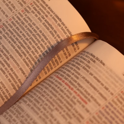 image_6a3d393f-7003-46b6-b317-2c89ff5b1b4b