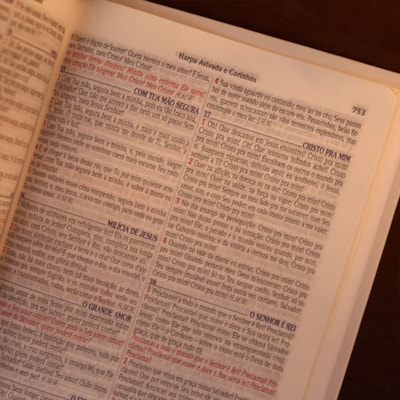 image_2300286a-e786-4653-94bb-133ea00bfd4d