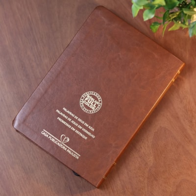 image_a9b1bbd5-1c23-45c7-a558-bde8783f9cc9