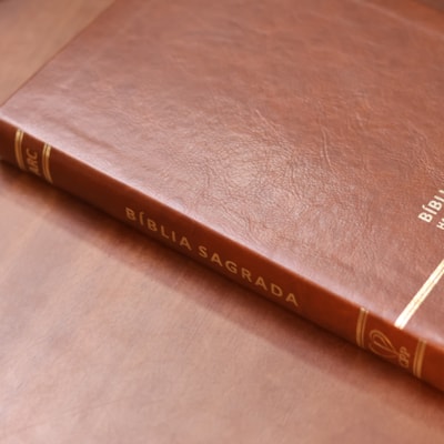 image_1f97e60b-ccaf-4398-9836-c2123fd6b409