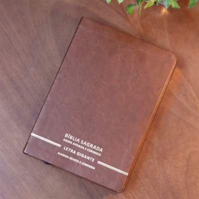 image_107d072e-cd67-42fa-b9cd-4eaaf9c8a3a8