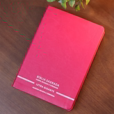 image_e17b73b6-1aa9-4fa1-832a-0a9df86673e6