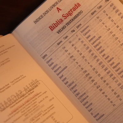 image_64bca9c6-d719-4776-b3e8-cab06db39a9c