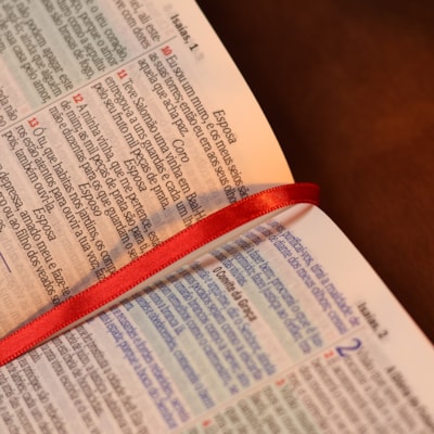 image_65bd951f-c5c8-47f6-bcf1-14ea85e9ad01