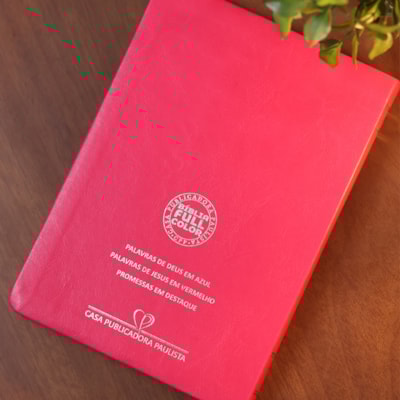 image_272a0d3c-2646-4ad7-9a27-d8d51376206e