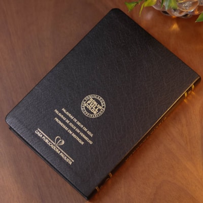 image_7536dd41-1322-4b41-aaa2-69b29929047d