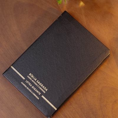 image_0c295bb6-1e7c-4ce3-a744-85f4d2baf986