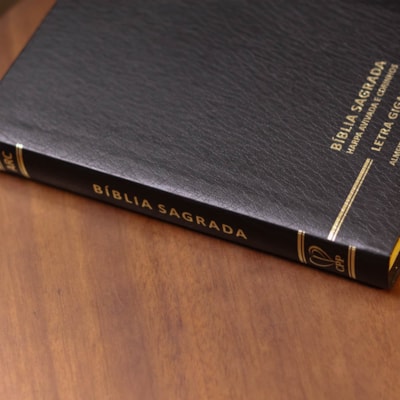 image_298533f4-1c39-49e7-87da-ba75aac3d090