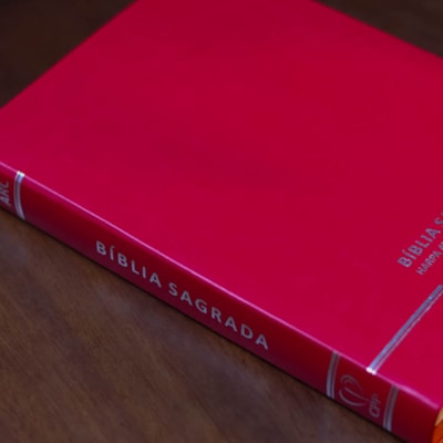 image_44b9f0b7-b52d-4bec-aedb-16f928c82b6a