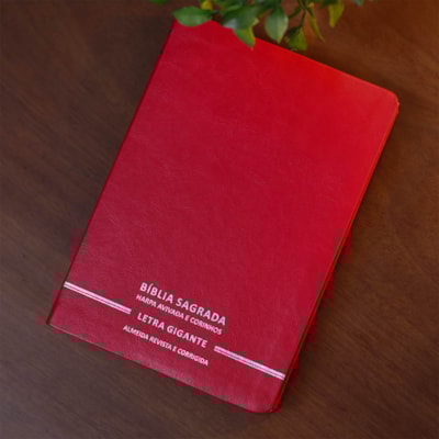 image_8dfcd670-2fdb-4169-bee5-5ac14f016bbc