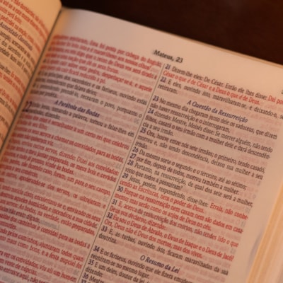 image_e3421255-8d20-4cb0-b0da-6e22a7e1a033