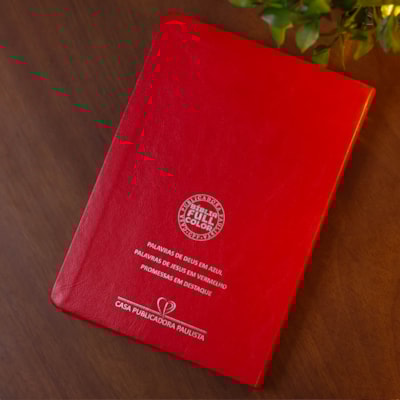 image_dded534a-b355-4434-9566-315014d30aa8