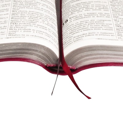 image_6ca5daf3-5675-49e9-a994-31ed1028704e