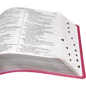 Bíblia Sagrada | Letra Gigante | ARC | Capa Pink Luxo | c/ Índice