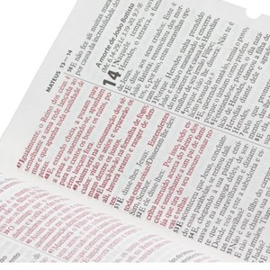 Bíblia Sagrada | Letra Gigante | ARC | Capa Pink Luxo | c/ Índice