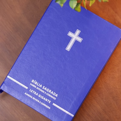 image_87c200c8-d312-4ee0-a327-9ec74b365a46