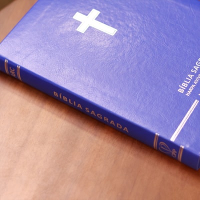 image_eb59e8ce-9dcd-4451-90ee-f105e4ad9be5