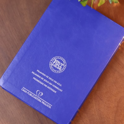 image_ee4d328a-c86d-43a9-a968-208f8ee20035