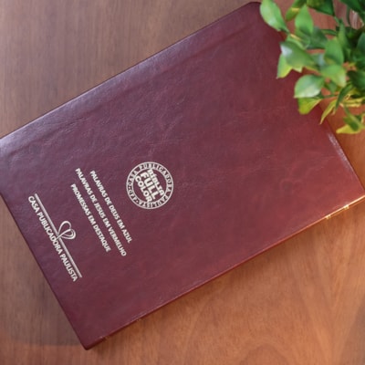 image_9f8c911a-0f24-4ec7-a005-cb01bfcdd0d3