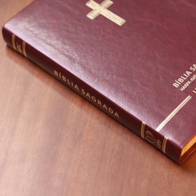 image_3a410454-0de6-4d18-bf1d-481d08c46614