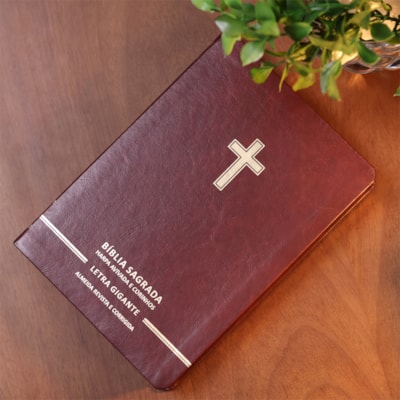 image_921295c4-9eb2-4b2c-80c3-6584f4ca2504