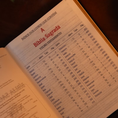 image_903f4182-2a35-4d32-8164-983f1cc33740