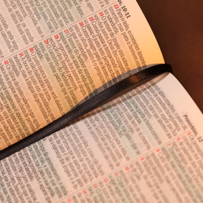 image_6a5daf34-b487-4413-b008-7ec23e3c522d