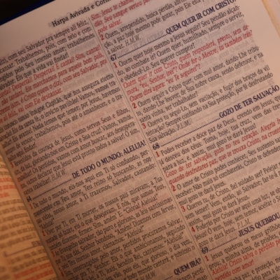 image_7b413838-c4bd-48f0-ba8d-0af21a64b23d