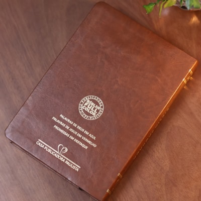 image_9cc32c4c-8b48-40fa-9253-e02ce6db5a2d