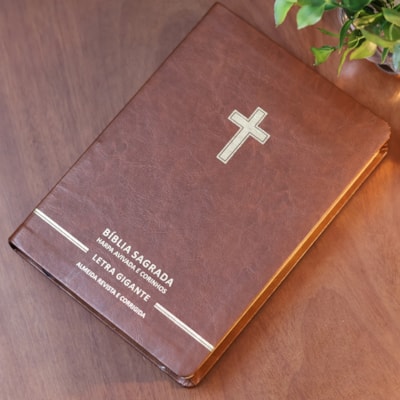 image_bb9072b9-22fa-4dcc-8a38-d81b67505269