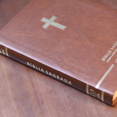 image_d126a442-b554-419d-b795-e5e28e72ad83