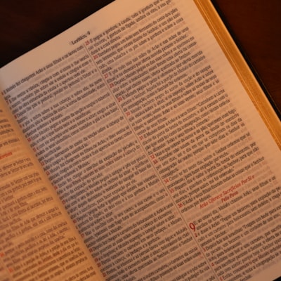 image_3d0f6397-1e2a-4859-8064-309a496bedf9