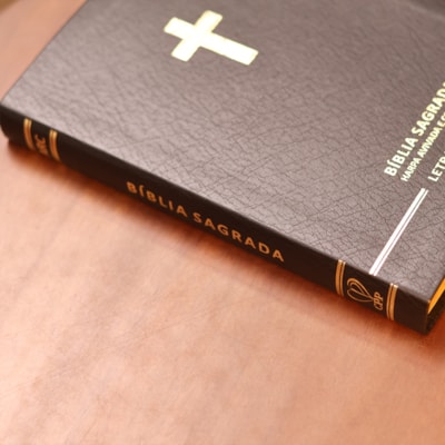 image_bfaecbaf-0c8e-440b-9ea2-10bfb066d46c