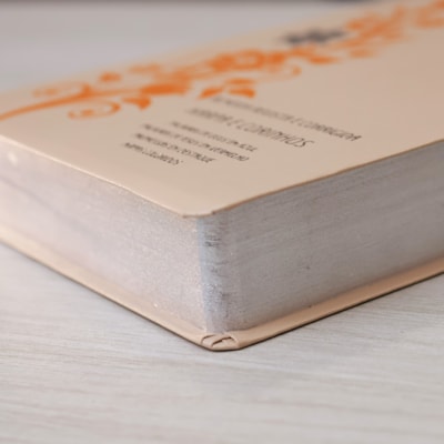 image_69a61699-6f17-40e5-98b2-aadb94e49fee