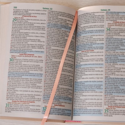 image_13b0dd43-84cb-474d-b0eb-936678f077e1