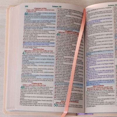 image_0d1bd4bf-1c52-42f3-8d7c-bceb36ebad7f