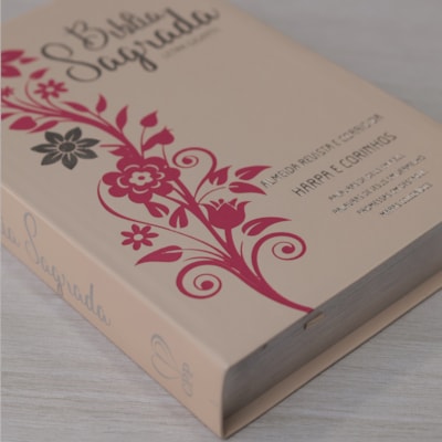 image_27b19404-c62c-4cf7-b4a7-542db4dc5ac4