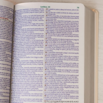 image_ad6c38c7-2616-4826-8a06-4089e994cae4