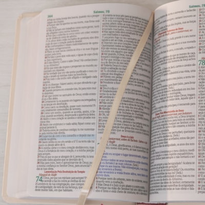 image_b070c98c-42ff-4706-aaa8-2b7528228b4b