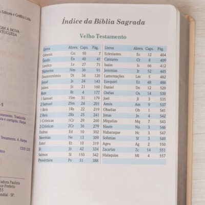 image_9ef25463-d042-4546-937a-9a2e3911a605