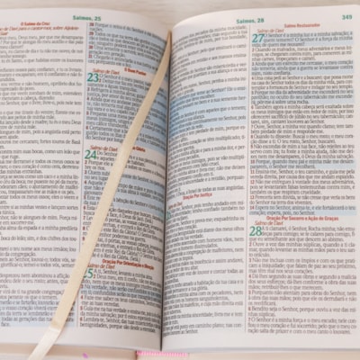 image_735370b6-9545-4228-8a2a-2dc4b7c0b90d