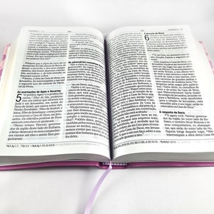 Bíblia Sagrada | Letra Gigante | NAA | Capa Luxo Primavera Violeta