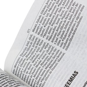 Bíblia Sagrada | Letra Gigante | NAA | Capa Pêssego Couro | c/ Índice